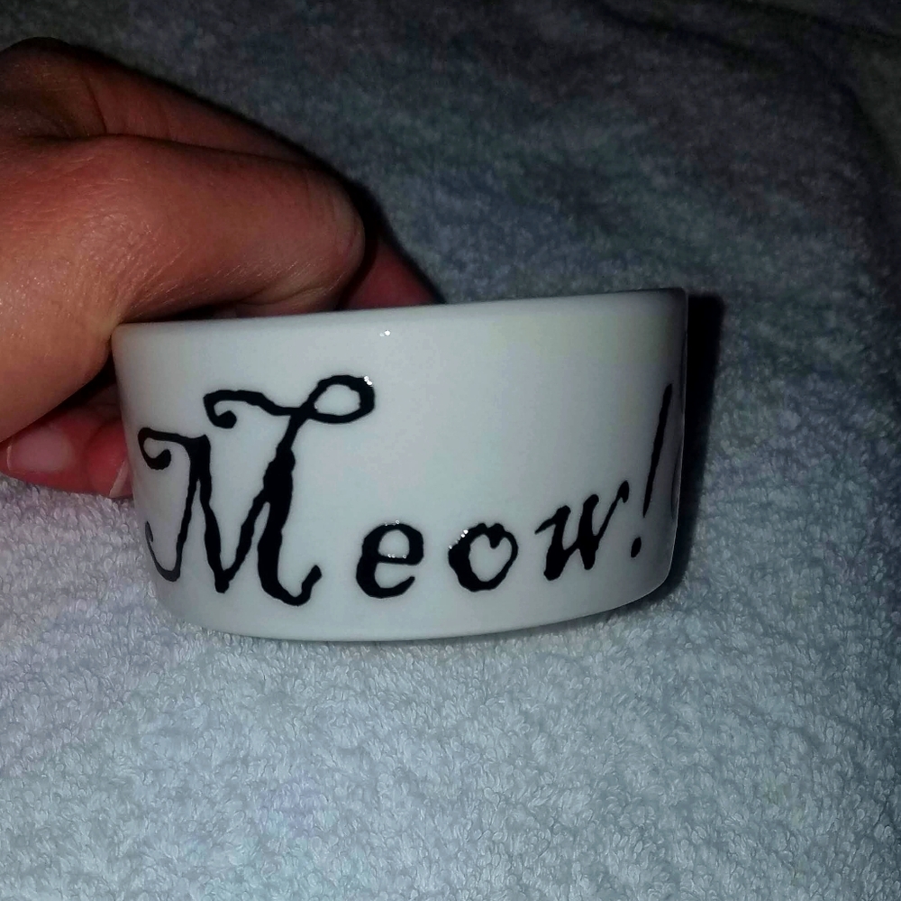 Cat Bowl